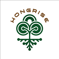 CÔNG TY CỔ PHẦN HONGRISE HOLDING