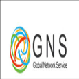 CHI NHÁNH TẠI THÀNH PHỐ HỒ CHÍ MINH - CÔNG TY TNHH GLOBAL NETWORK SERVICE