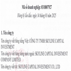 CÔNG TY TNHH SKYLINE CAPITAL INVESTMENT