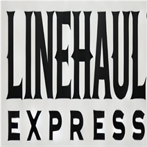 VĂN PHÒNG ĐẠI DIỆN LINEHAUL EXPRESS SINGAPORE PTE. LTD. TẠI THÀNH PHỐ HỒ CHÍ MINH