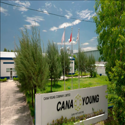CÔNG TY TNHH CANA YOUNG