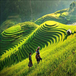 CÔNG TY TNHH GỖ ĐẠI HƯNG THỊNH