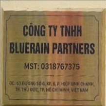 CÔNG TY TNHH BLUERAIN PARTNERS