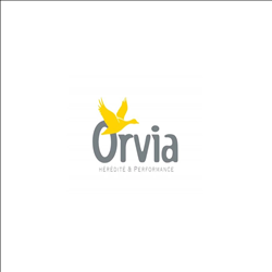CÔNG TY TNHH ORVIA VIỆT NAM
