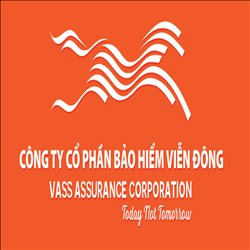 CÔNG TY CỔ PHẦN BẢO HIỂM VIỄN ĐÔNG