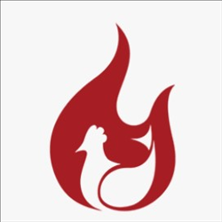 CÔNG TY TNHH LỬA VIỆT NAM