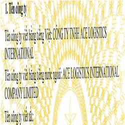 CÔNG TY TNHH ACE LOGISTICS INTERNATIONAL