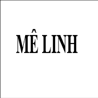CÔNG TY TRÁCH NHIỆM HỮU HẠN TRUNG TÂM MÊ LINH