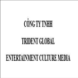 CÔNG TY TNHH TRIDENT GLOBAL ENTERTAINMENT CULTURE MEDIA