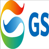 CÔNG TY TNHH GS VIỆT NAM