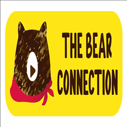 CÔNG TY TNHH THE BEAR CONNECTION