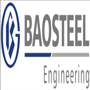 CÔNG TY TRÁCH NHIỆM HỮU HẠN XÂY DỰNG BAOSTEEL (VIỆT NAM)