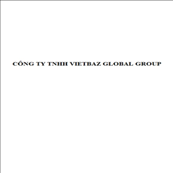 CÔNG TY TNHH VIETBAZ GLOBAL GROUP