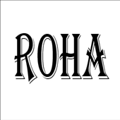 CÔNG TY TNHH ROHA DYECHEM VIỆT NAM