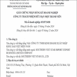 CÔNG TY TNHH KINH DOANH XUẤT NHẬP KHẨU SAO VIỆT MIỀN NAM