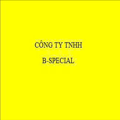 CÔNG TY TNHH B-SPECIAL