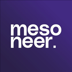 CÔNG TY TNHH MESONEER