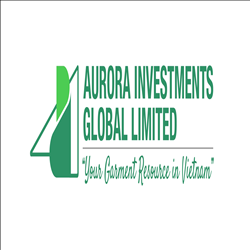 VĂN PHÒNG ĐẠI DIỆN AURORA INVESTMENTS GLOBAL LIMITED TẠI THÀNH PHỐ HỒ CHÍ MINH