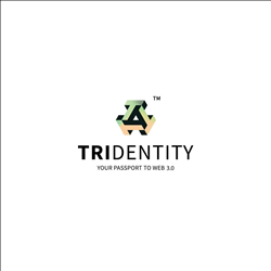 CÔNG TY TNHH TRIDENT DIGITAL TECH