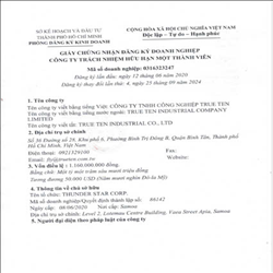 CÔNG TY TNHH CÔNG NGHIỆP TRUE TEN