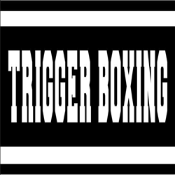 CÔNG TY TNHH TRIGGER BOXING