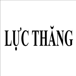 CÔNG TY TNHH THƯƠNG MẠI DỊCH VỤ LỰC THĂNG