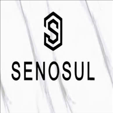 CÔNG TY TNHH SENOSUL SA - VIỆT NAM