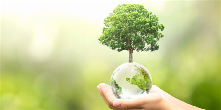 Kế hoạch tổ chức các hoạt động hưởng ứng Tháng hành động vì môi trường trên địa bàn Thành phố Hồ Chí Minh năm 2025