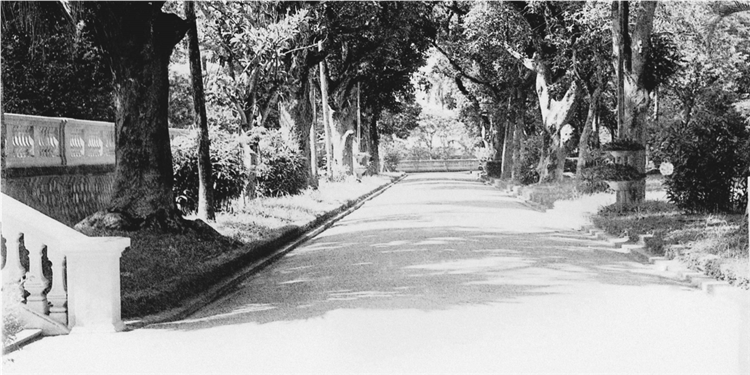 Sinh hoạt dưới cờ và kể câu chuyện về Bác Hồ tuần 45