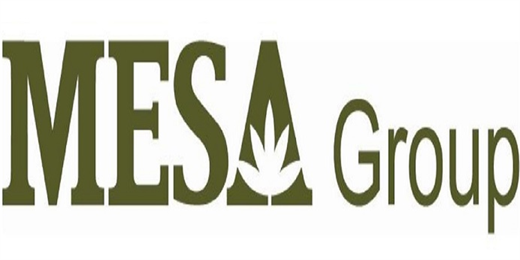 CHI NHÁNH CÔNG TY TNHH DỊCH VỤ VÀ THƯƠNG MẠI MESA TUYỂN DỤNG